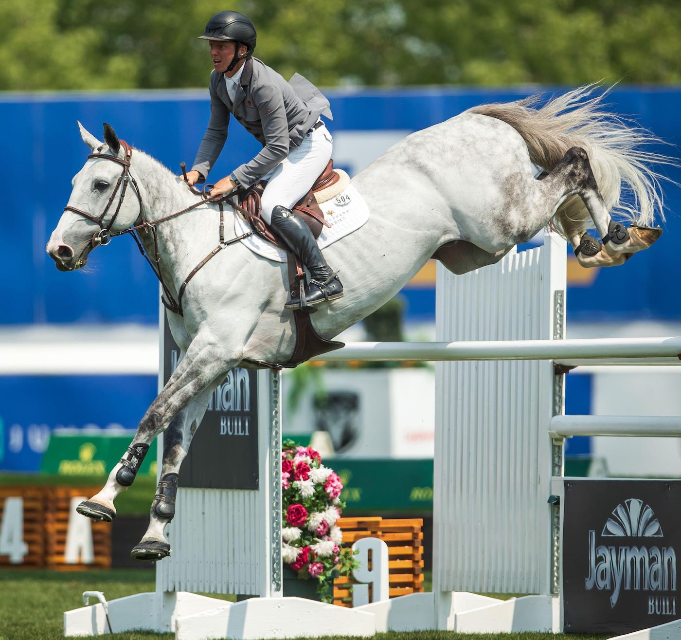 Matt Sampson showjumping grey horse in grand prix