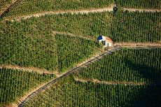 Vincent Paris La Geynale