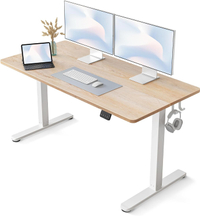 Fezibo 55" x 24" Electric Standing Desk