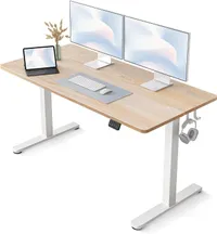 Fezibo 55" x 24" Electric Standing Desk
