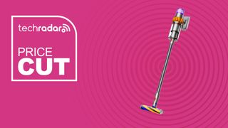 The Dyson V15 Detect on a pink background with text saying Price Cut next to it