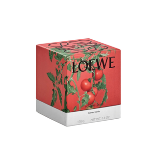 Loewe Small Tomato Leaves Candle is not an example of a bad beauty gift 