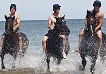 housecav-sea-rex.jpg