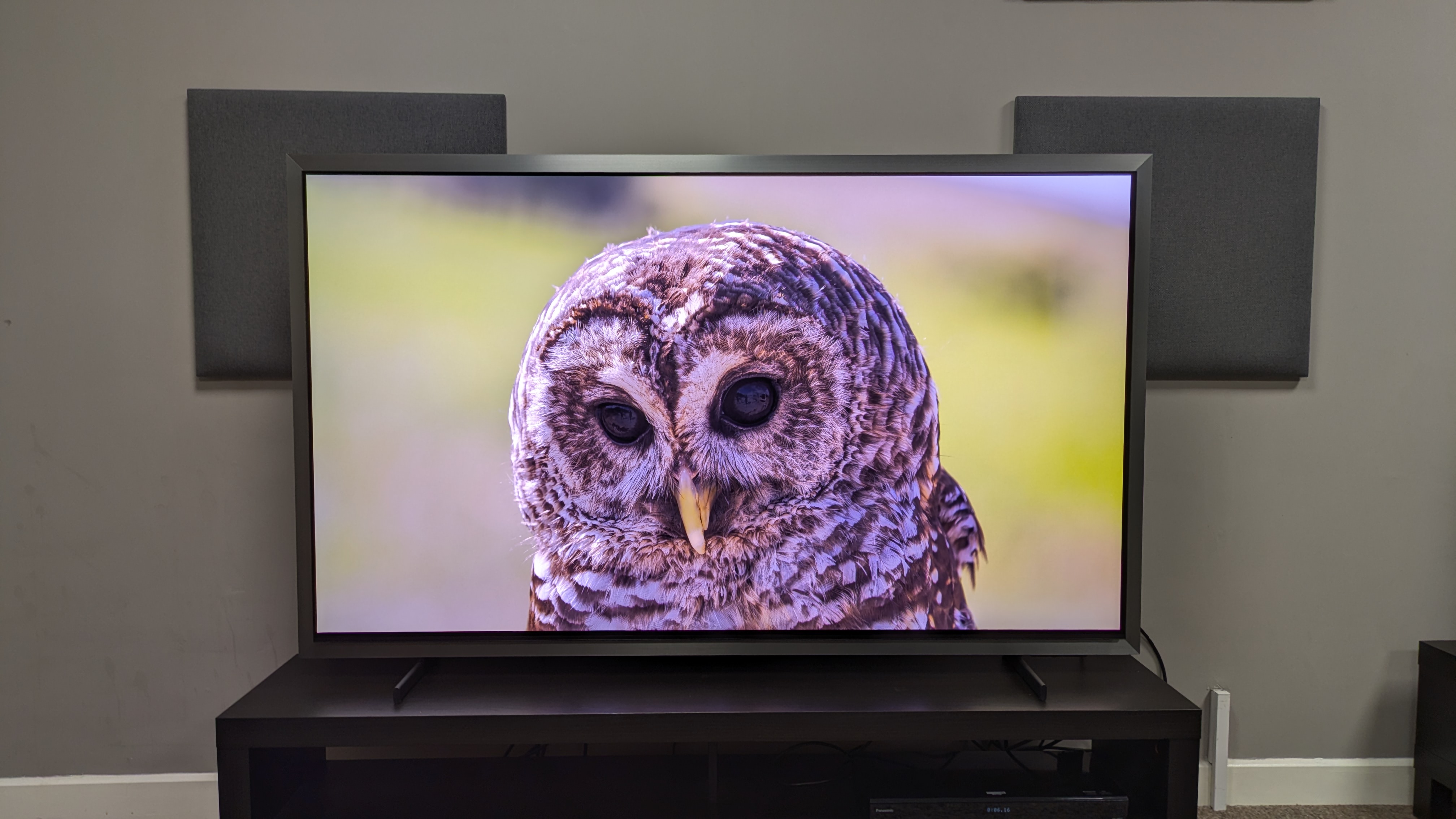 Samsung S99H with owl on screen. Shows S99H's crisp detail, with refined textures