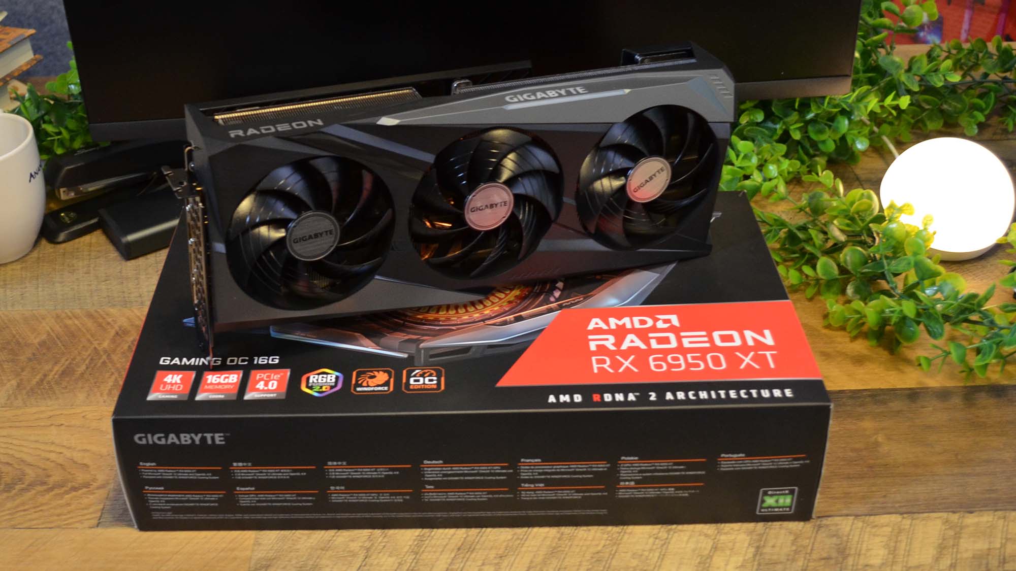 An AMD Radeon RX 6950 XT on a desk in front of a plant