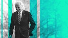 Joe Biden walks on the South Lawn