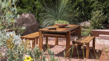 A dry garden at the Chelsea Flower Show 2026 has succulents in pots on a wooden table