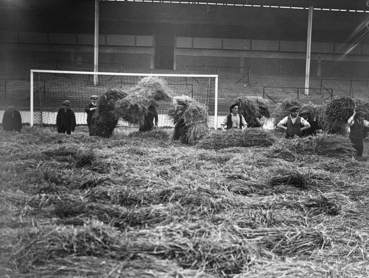 White Hart Lane