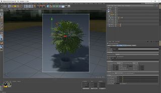 Finish off by adding some variation to your foliage