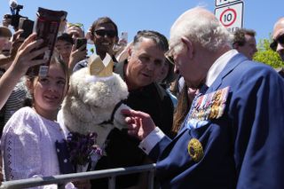 King Charles petting an alpaca wearing a crown in a crowd of people