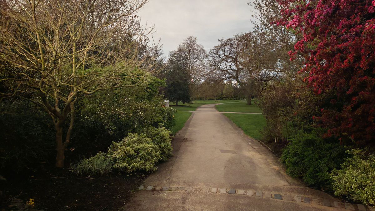 Honor Magic 5 Pro camera samples