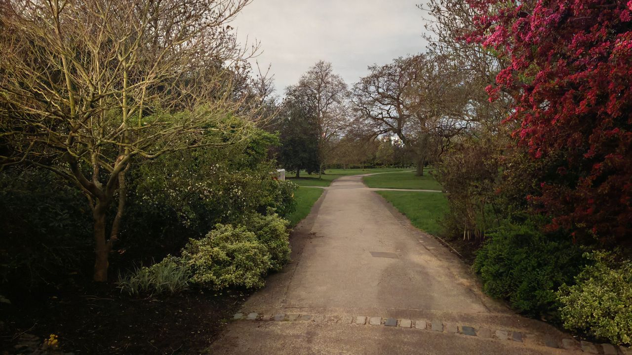 Honor Magic 5 Pro camera samples