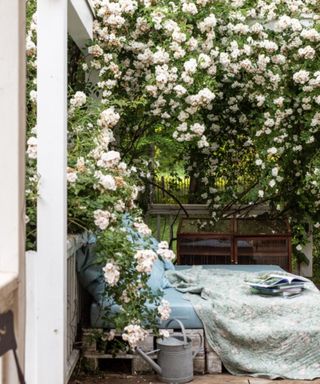 A front porch with a white pergola with white flowers above it and a blue day bed with a light green floral blanket with magazines on it, and a silver watering can next to the bed