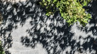 Minieclipses in the projection view of the shadows of leafs and trees branches in the streets during the Partial Solar Eclipse, 14 December 2020, Chile