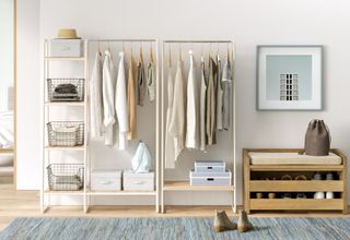 freestanding walk in closet idea with hanging rail and storage, shoe storage unit and artwork, rug