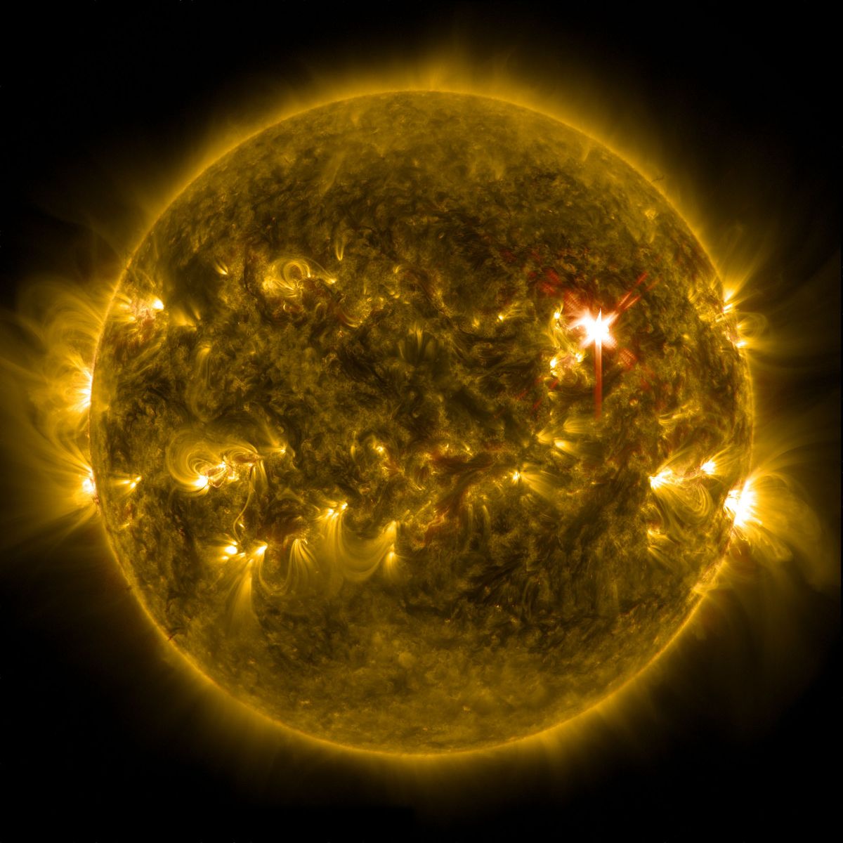 Major Solar Flare Erupts From The Sun (Video) | Space