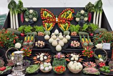 Prize winning display of vegetables at the 2018 Southport Flower Show.