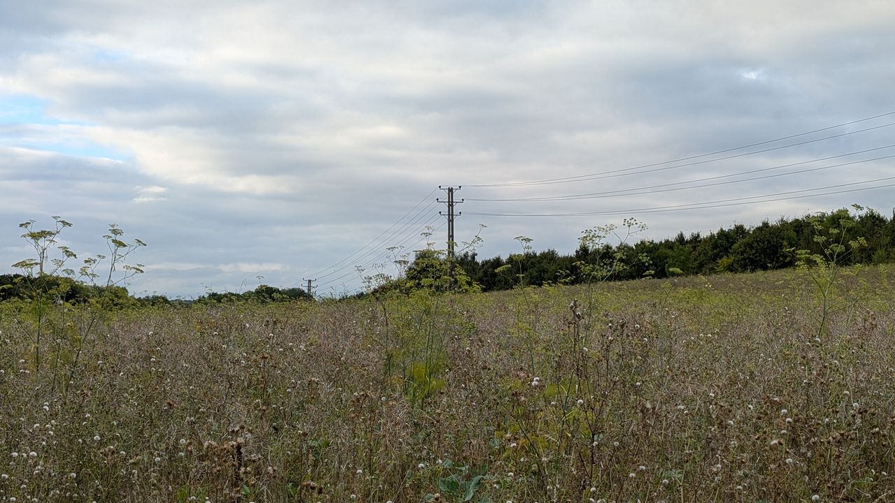 200 photos pixel 9 vs pixel 8a - pixel 9 2 x zoom