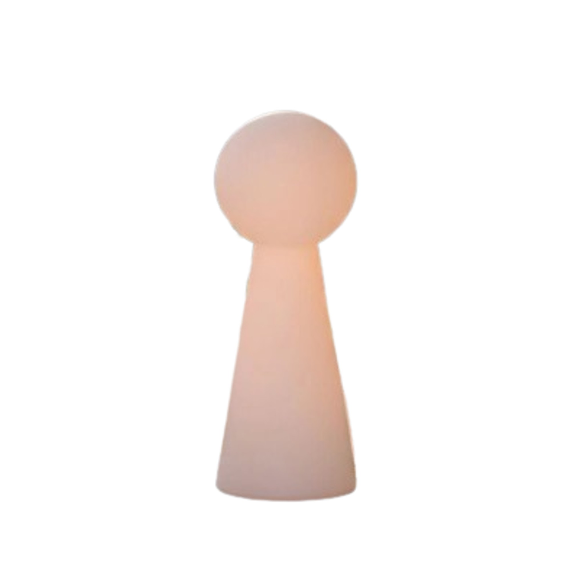 Wyld and Coco Outdoor LED Floor Lamp White RGB IP54