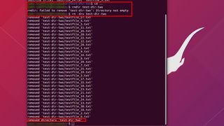 How To Delete Files And Directories in Linux Using The Command Line
