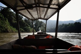 Ecotourism tour boat on the river through Taman Negara jungle, Malaysia.
