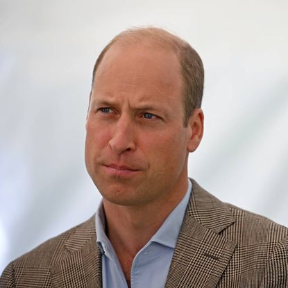 Prince William in the US