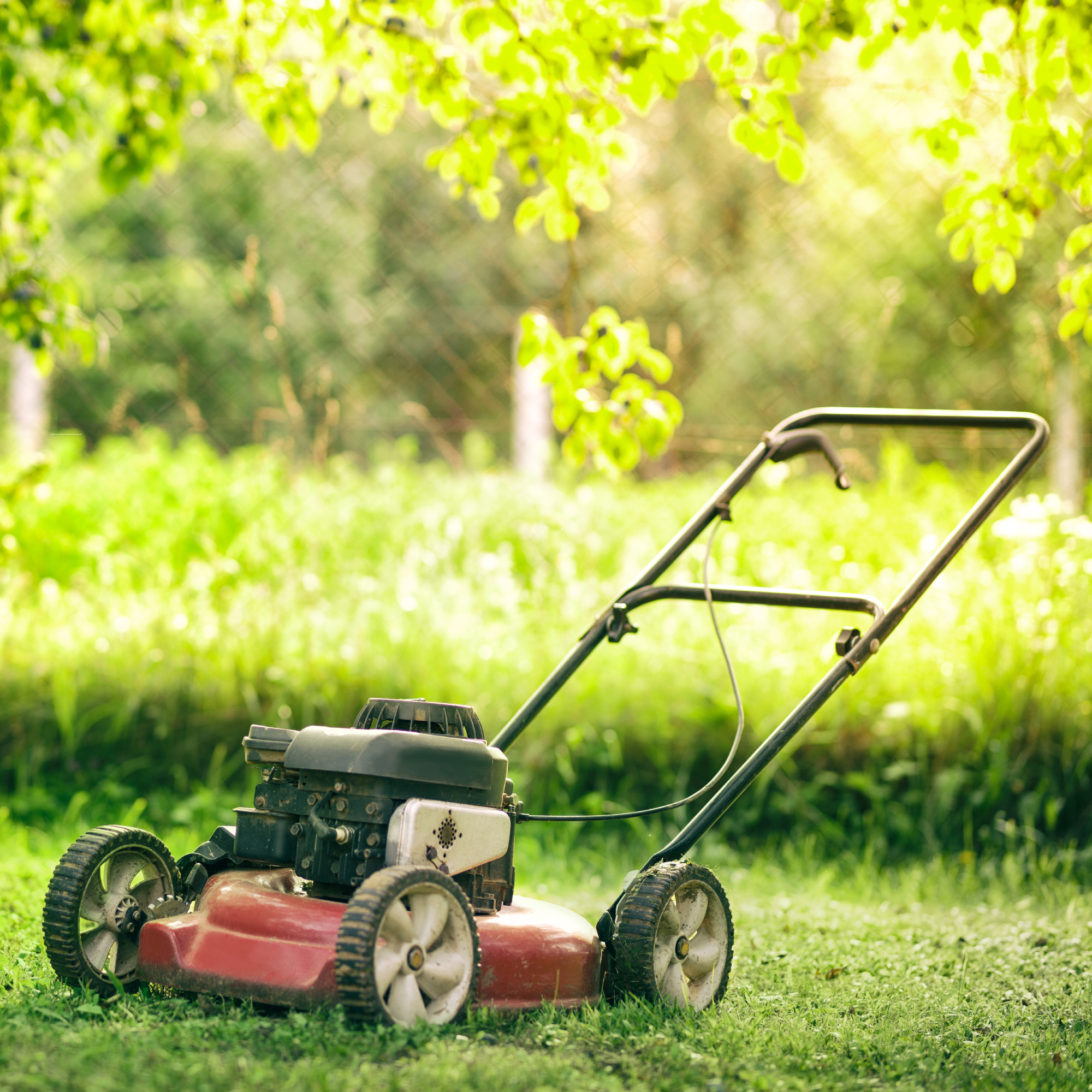 lawn mower in yard 