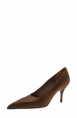 Modellerie pointed pumps