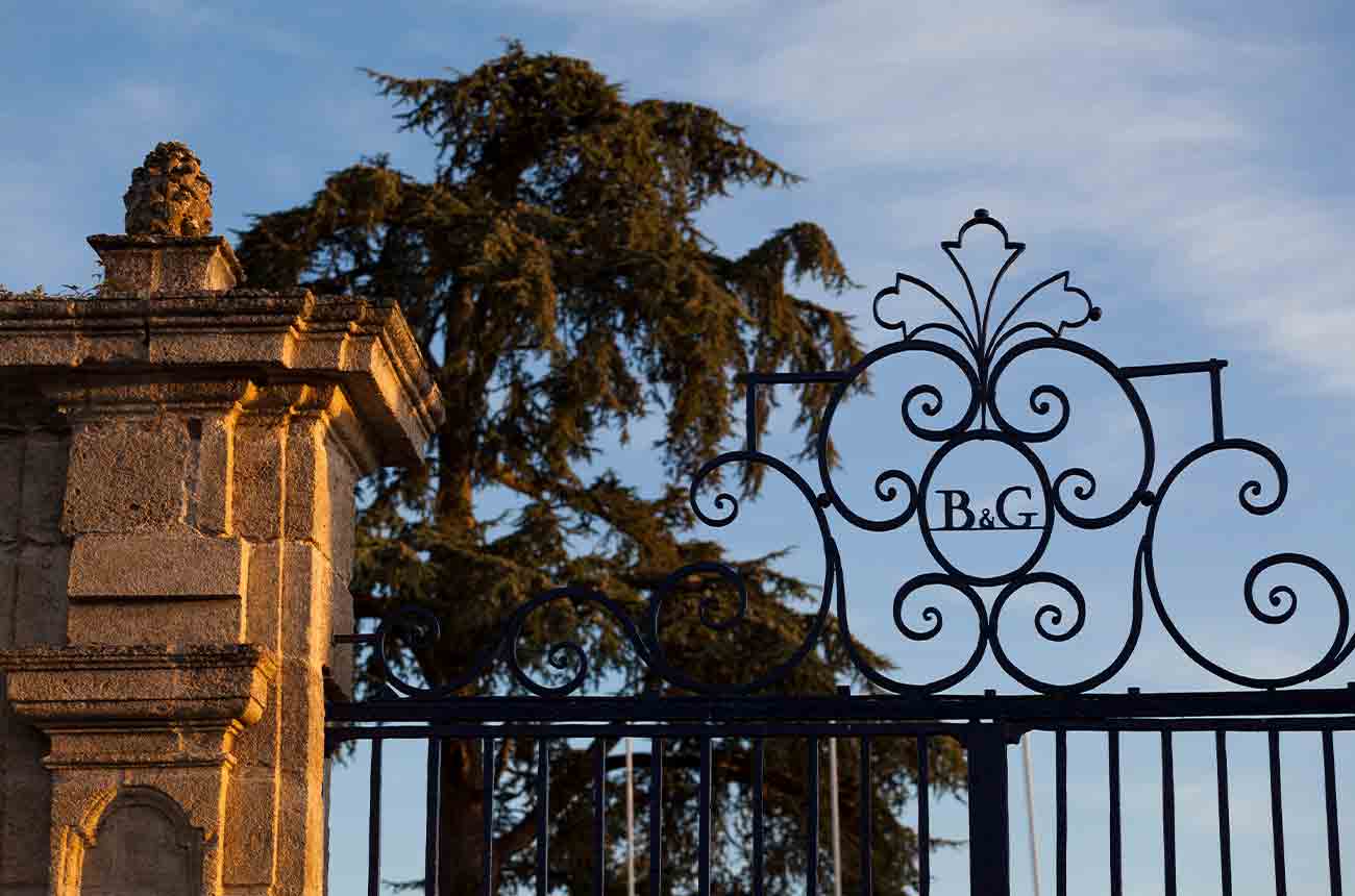 Barton &amp; Guestier French wine distributors