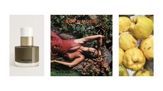 nail polish, album cover, quince