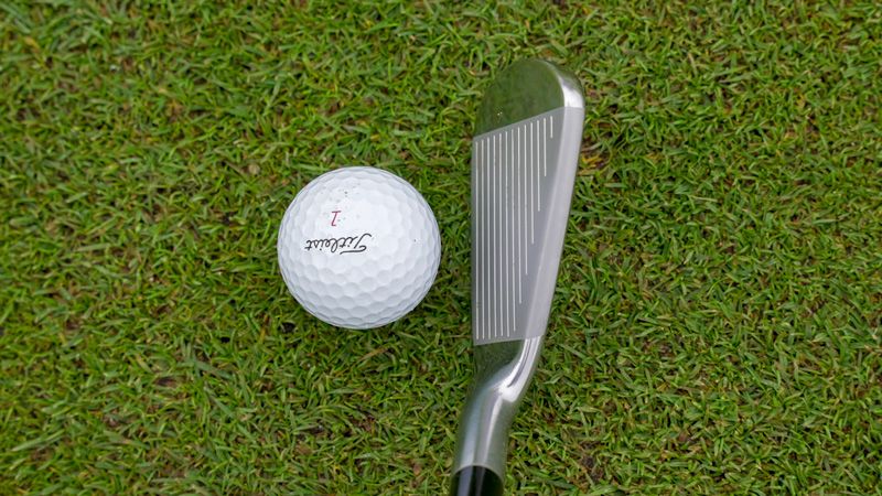 Mizuno Pro 225 iron address