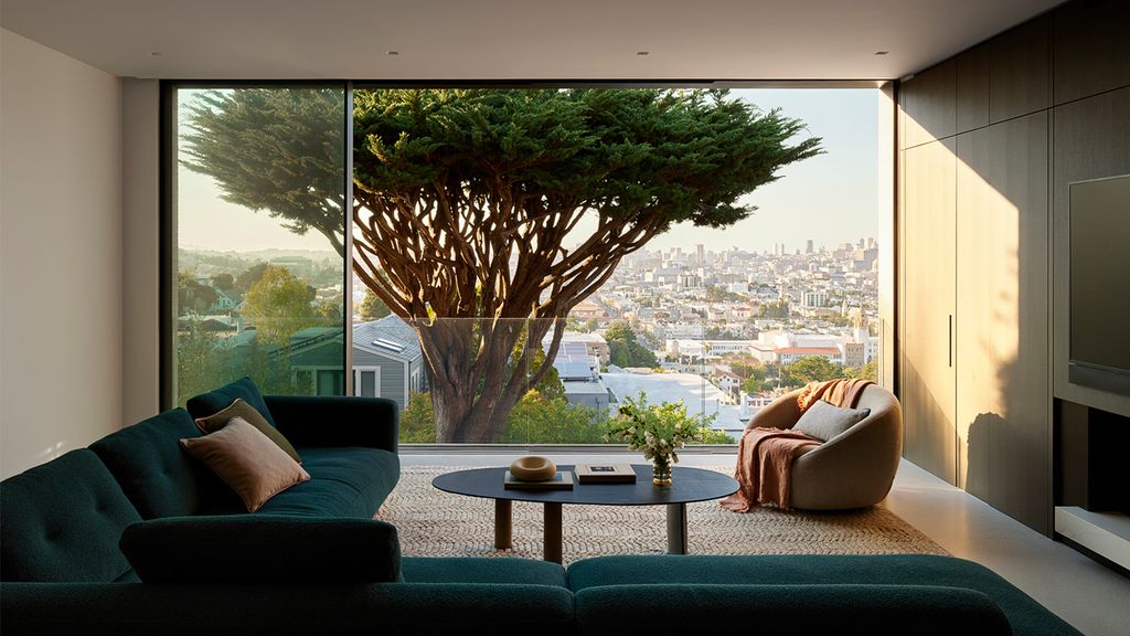 room overlooking a large tree