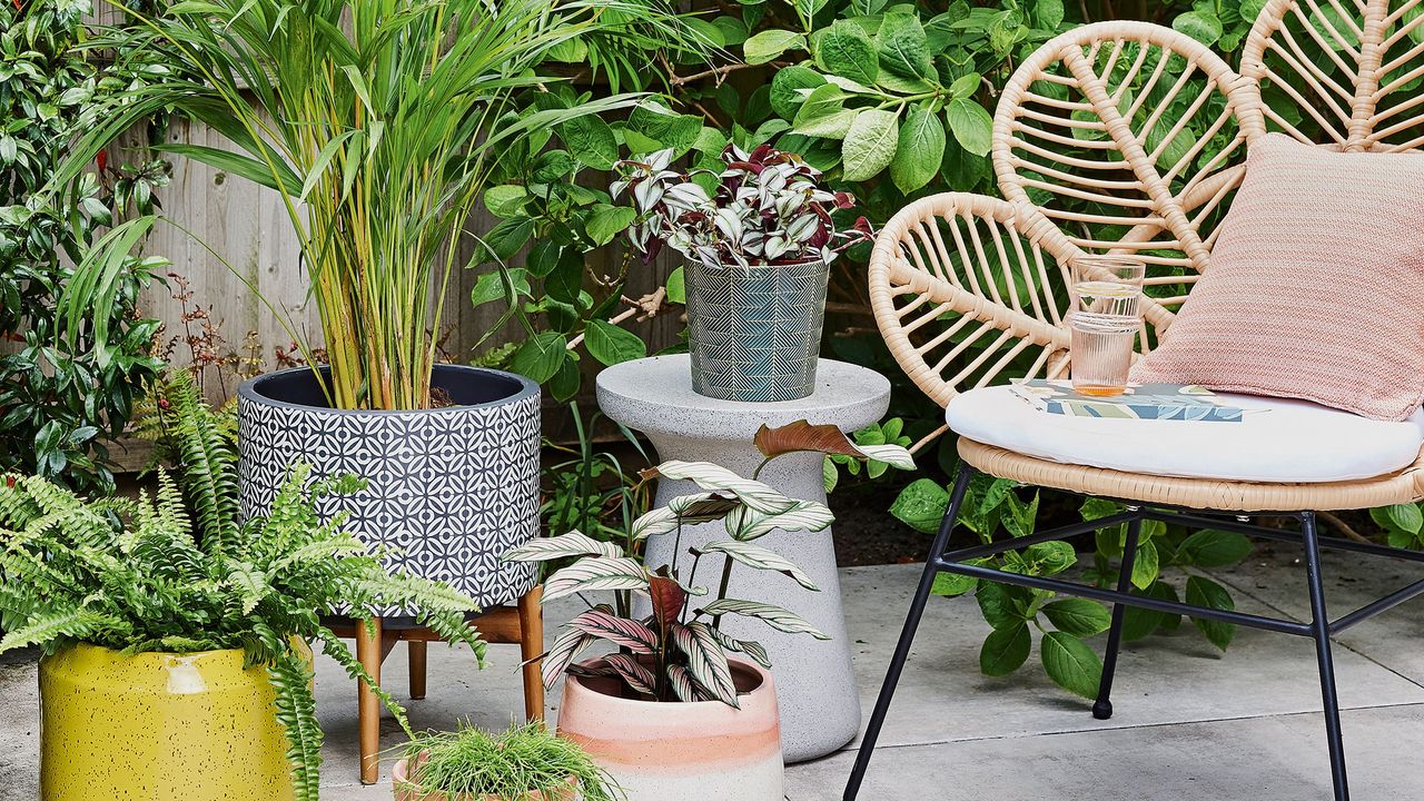 garden area with potted plants and chair