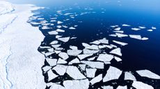 On Feb. 21, Antarctica's sea ice retreated to its lowest extent since satellite records began in 1979. 