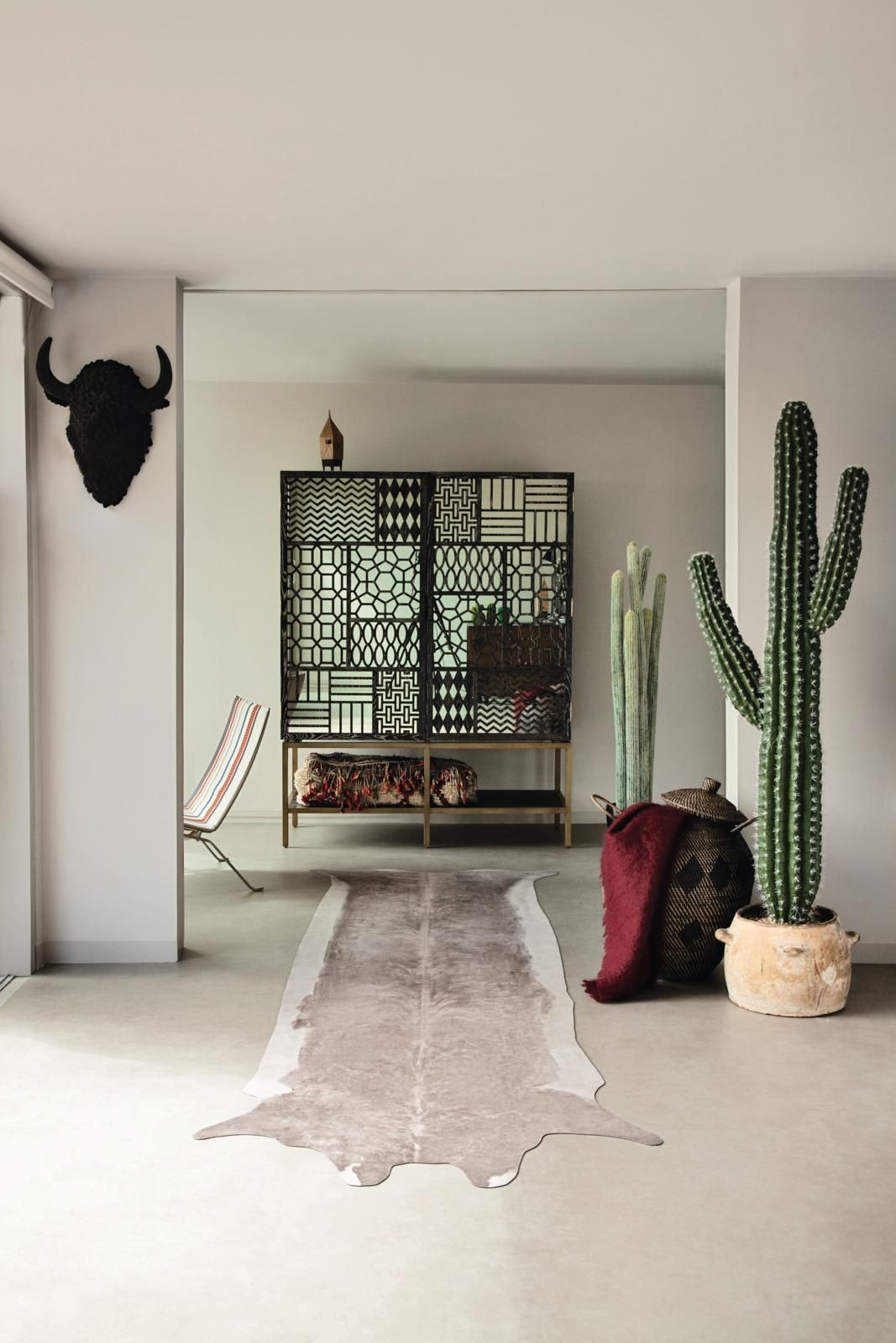 Decorating with Cacti — 5 Ways to Display These Plants | Livingetc