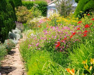 Romantic cottage garden border punctuated with bright red crocosmia
