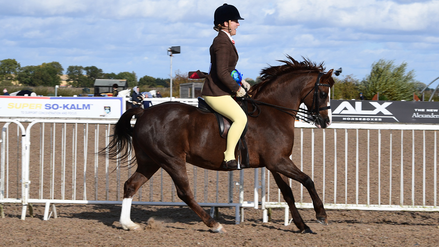 Heritage Show 15.10.22Cl. 78 Welsh A/B No. 220 Wortley Golcar Lily