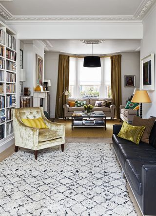 luxurious living room with rug to zone an area