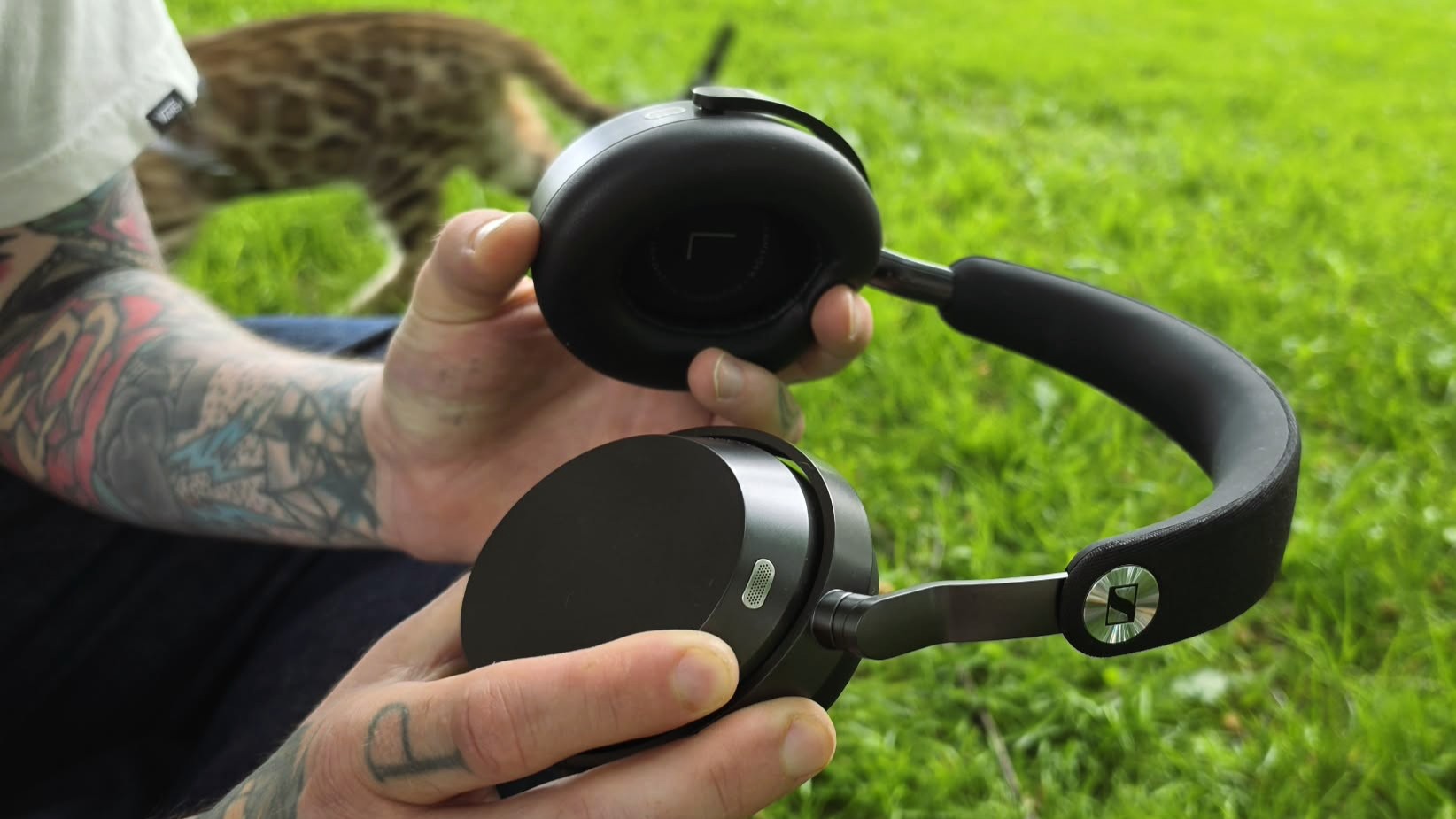 Sennheiser Momentum 5 h&amp;aring;lls upp &amp;ouml;ver en gr&amp;auml;smatta med en katt i bakgrunden.