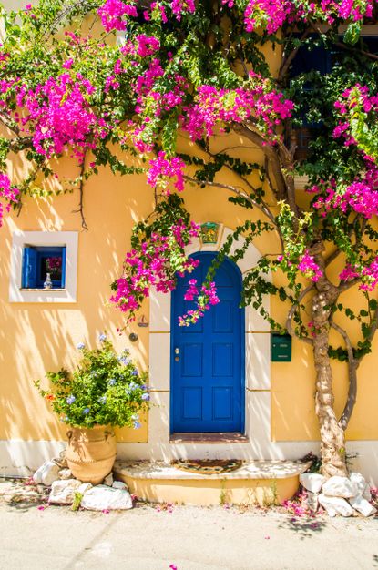 Gardens across Greece, Italy and Spain blast into colour while British counterparts lie dormant and frosty.