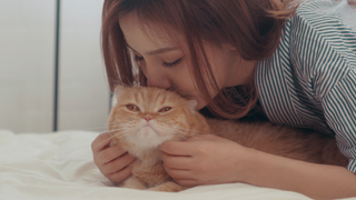 Cat lying down on a bed with a woman kissing its head from behind and hugging