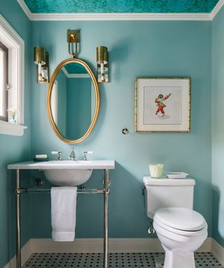 powder room with light teal walls and dark teal ceiling, white toilet and sink