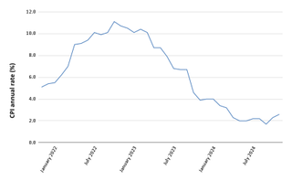 Chart showing the annual rate of consumer price inflation