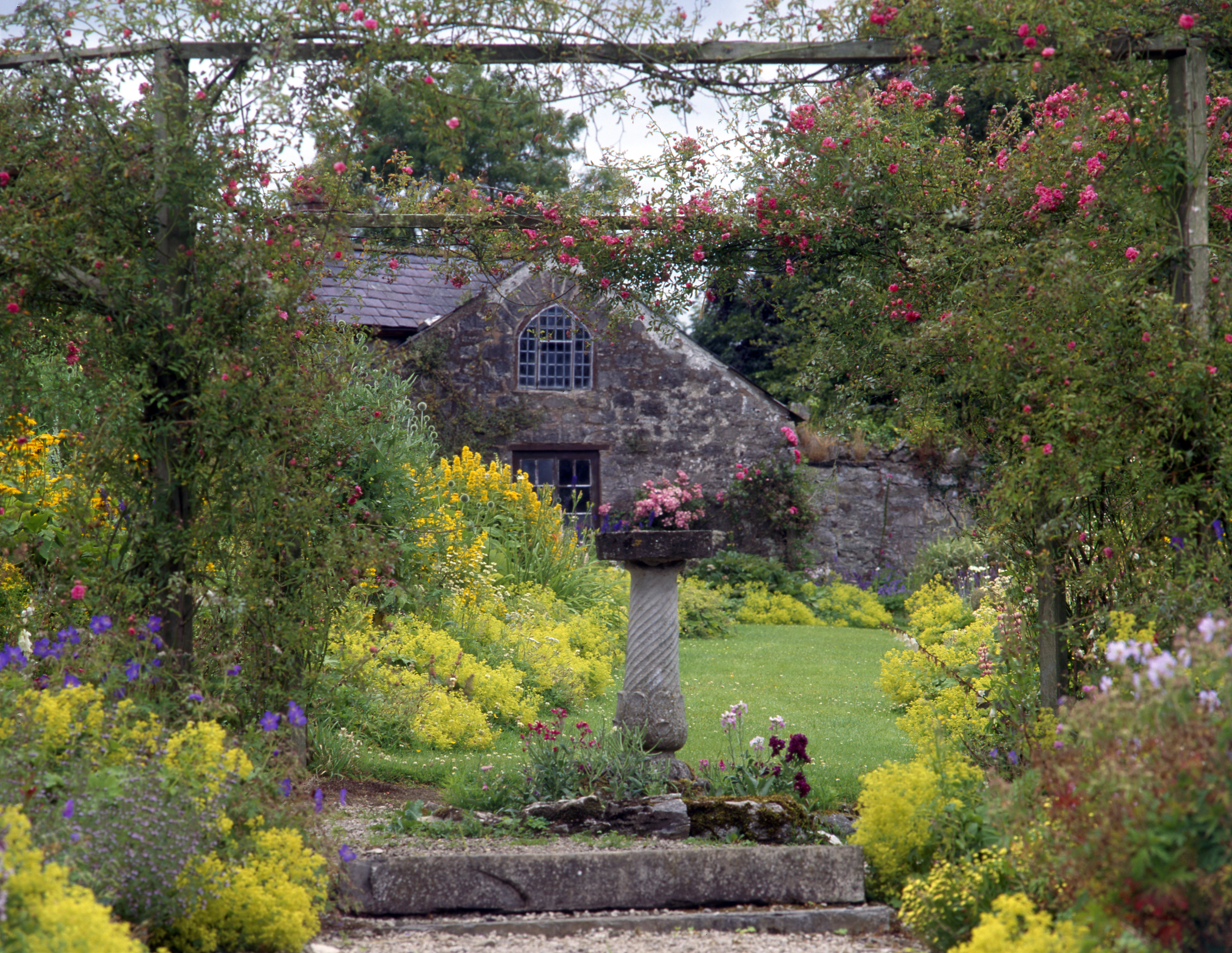 Gwaenynog garden