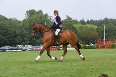RIHS-25.07.2146219-1.jpg