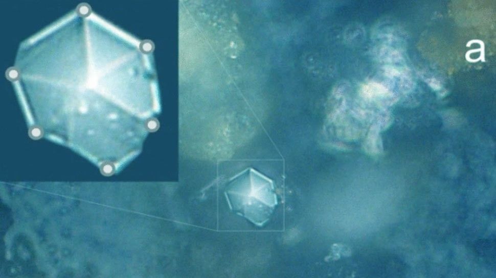 Never-before-seen crystals found in perfectly preserved meteorite dust - Livescience.com