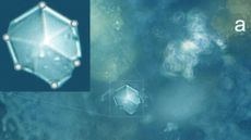 A close-up image of one of the new crystals taken using an electron microscope.
