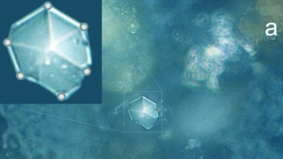 Never-before-seen crystals found in perfectly preserved meteorite