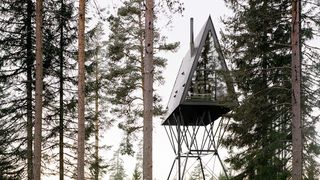 Pan Treetop Cabin exterior