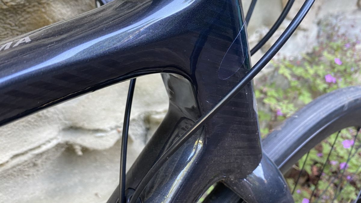 Liv Langma Advanced Disc 1+ Review